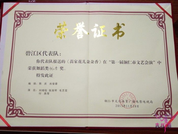 碧江代表团队