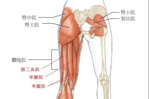 中国vs约旦男足直播