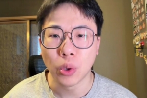 纽约灰熊