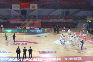 李娜vs尼库莱斯库