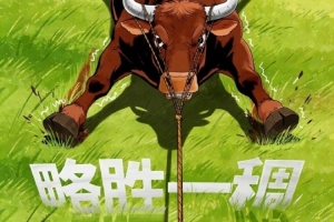 北京免费踢足球的地方