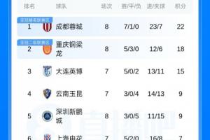 老虎皮球衣