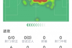 尼克斯球队分析