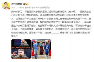 2013德国vs意大利