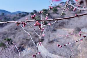 新浪足球360直播间