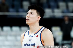 被偷走的nba冠军戒指