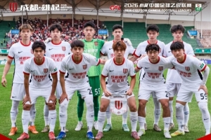 2014女排巴西