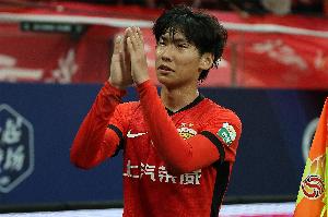 fifa20里没有的国家队