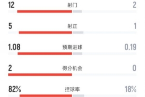 鲁能战国安