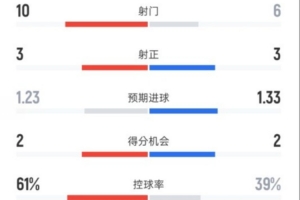 斯图加特阵容