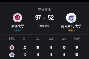 尼克斯vs独行侠分析