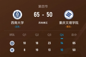 女排看篮球决赛