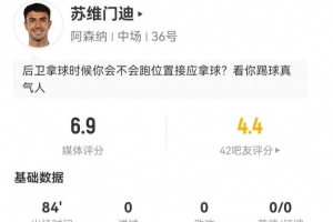 雪豹日化杯青年足球赛