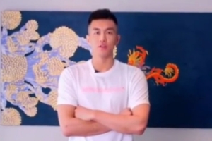 达拉斯对鹈鹕