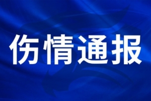 cctv科比绝杀韦德