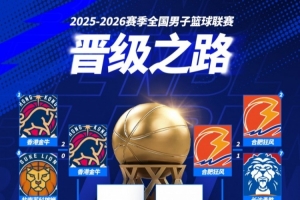 罗本会去曼联吗