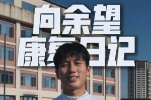 2013德甲转会一览