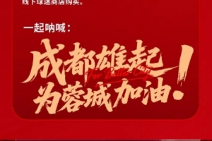 奥迪杯足球赛的分析