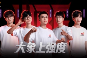 西杯赛事分析