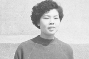 95年足协杯