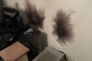 网友分享惊魂经历：⚡️雷电顺着网线直冲电脑！主板、路由器报废